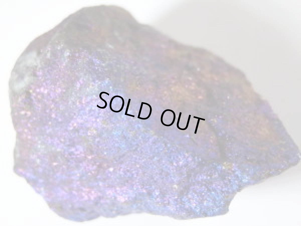 画像2: ピーコックC (2)