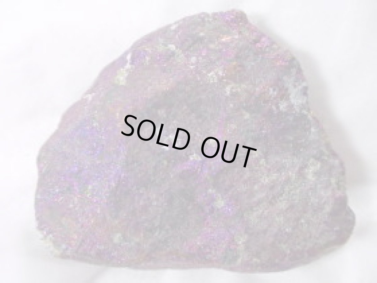 画像2: ピーコックG (2)