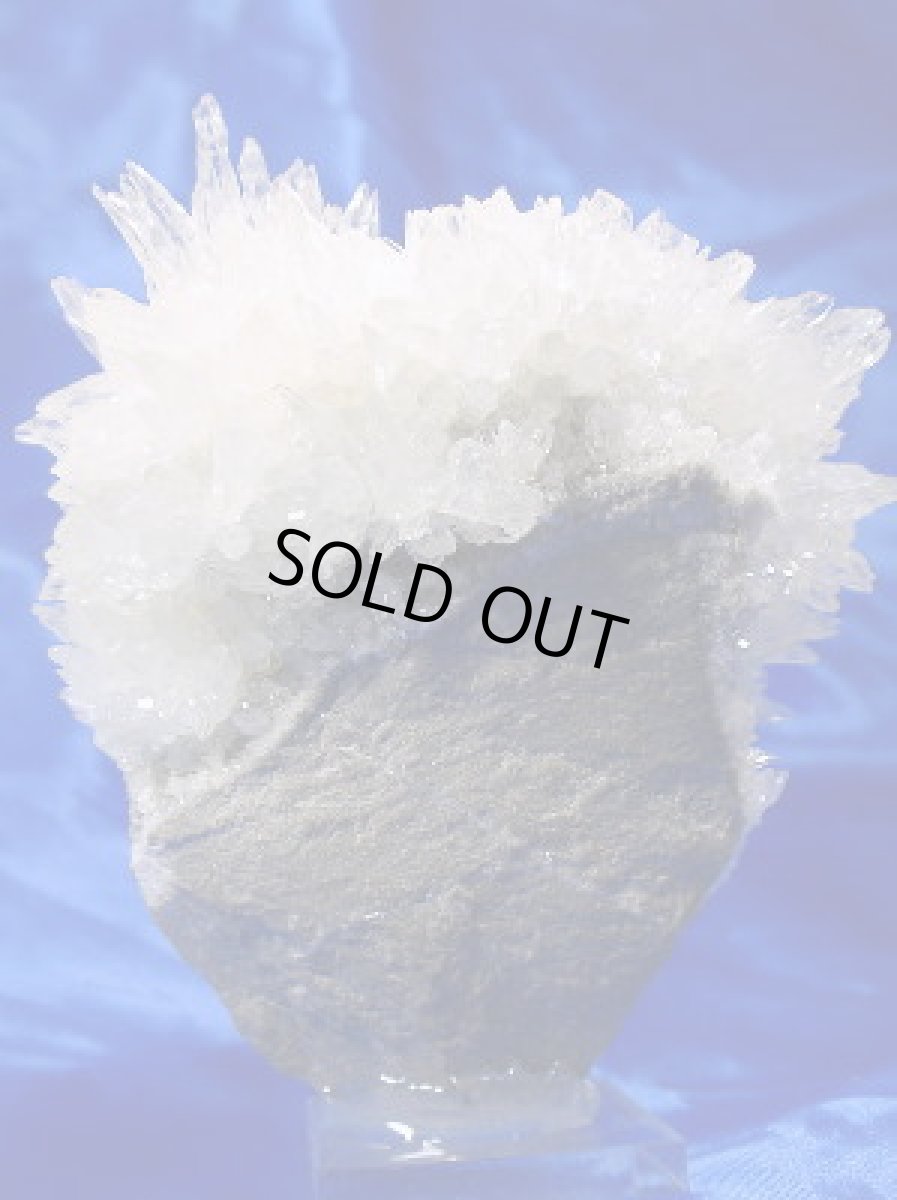 画像2: フラワーカルサイト (2)