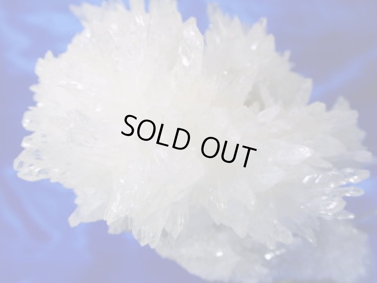 画像6: フラワーカルサイト (6)