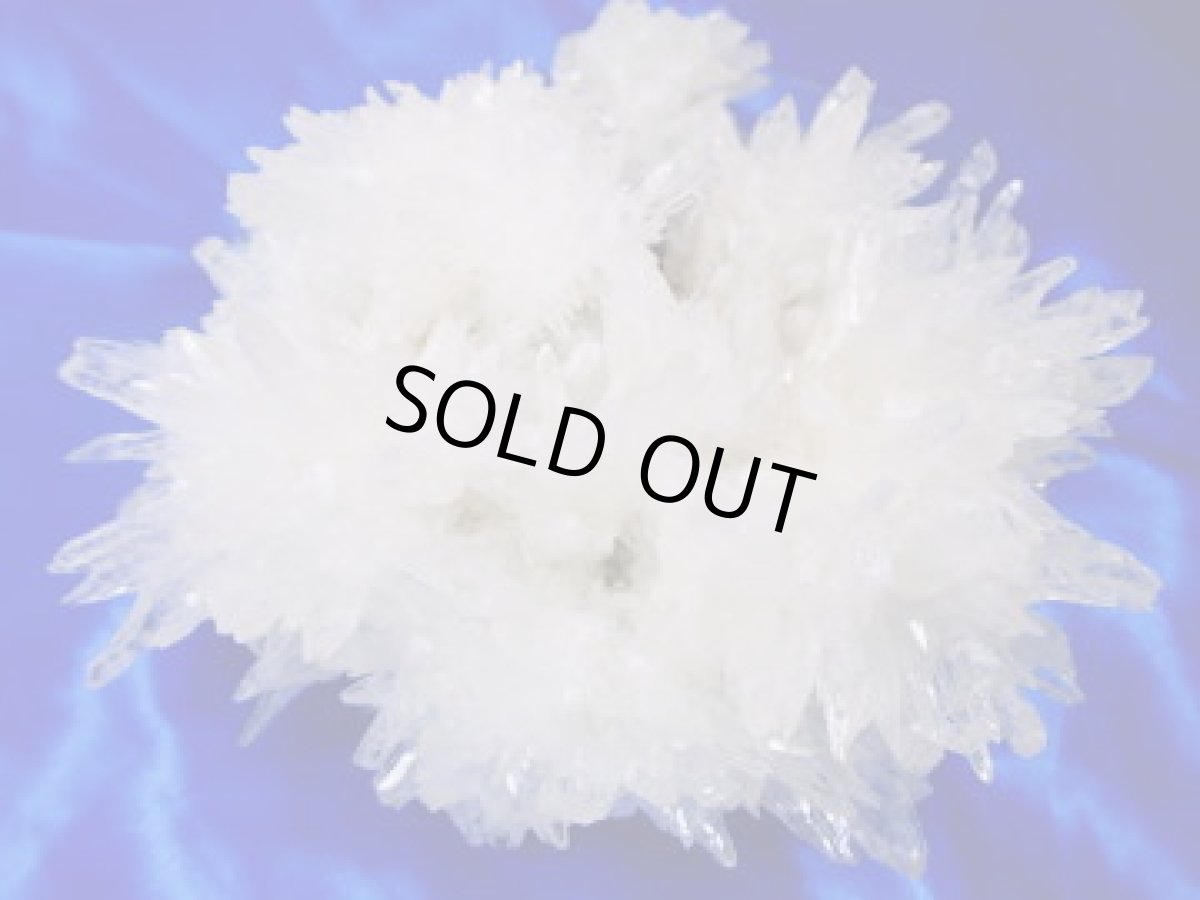 画像5: フラワーカルサイト (5)