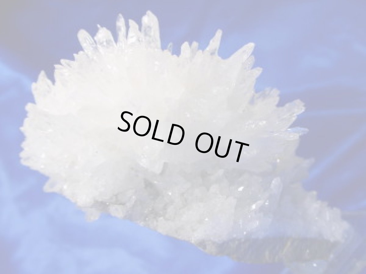 画像3: フラワーカルサイト (3)