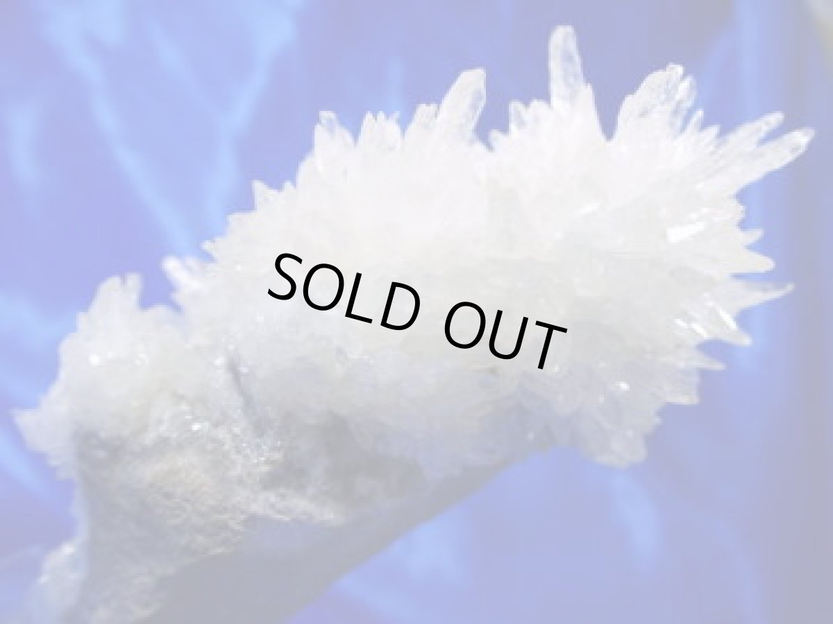 画像4: フラワーカルサイト (4)