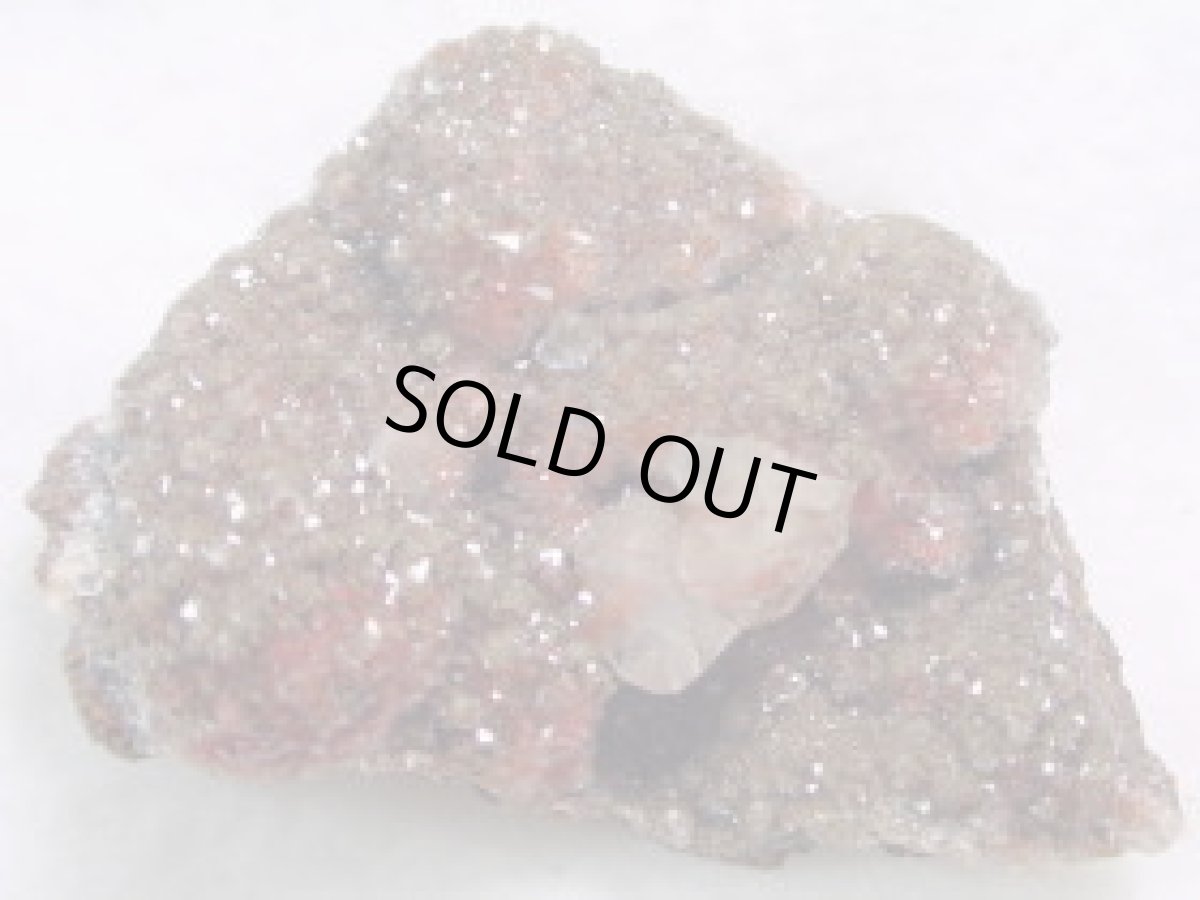 画像2: レッドカルサイトＤ (2)