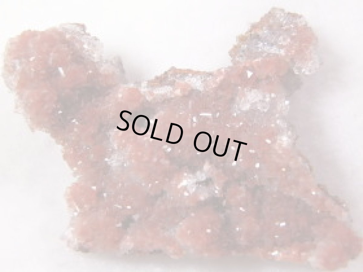 画像1: レッドカルサイトE (1)