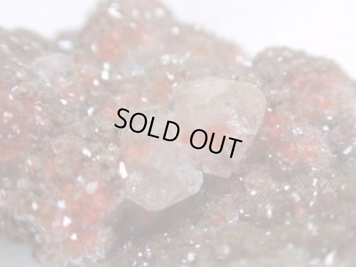 画像1: レッドカルサイトＤ (1)