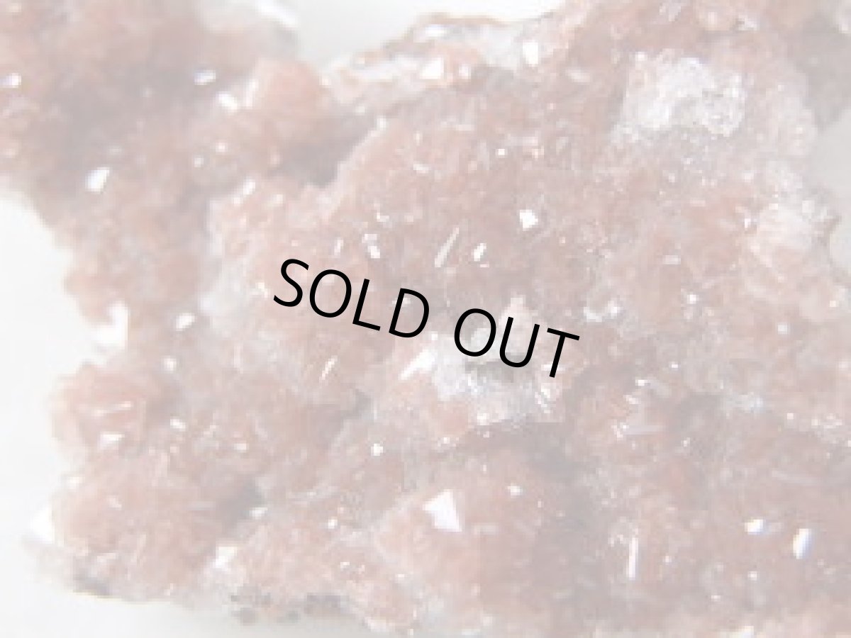 画像2: レッドカルサイトE (2)