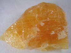 画像1: オレンジカルサイトＣ (1)