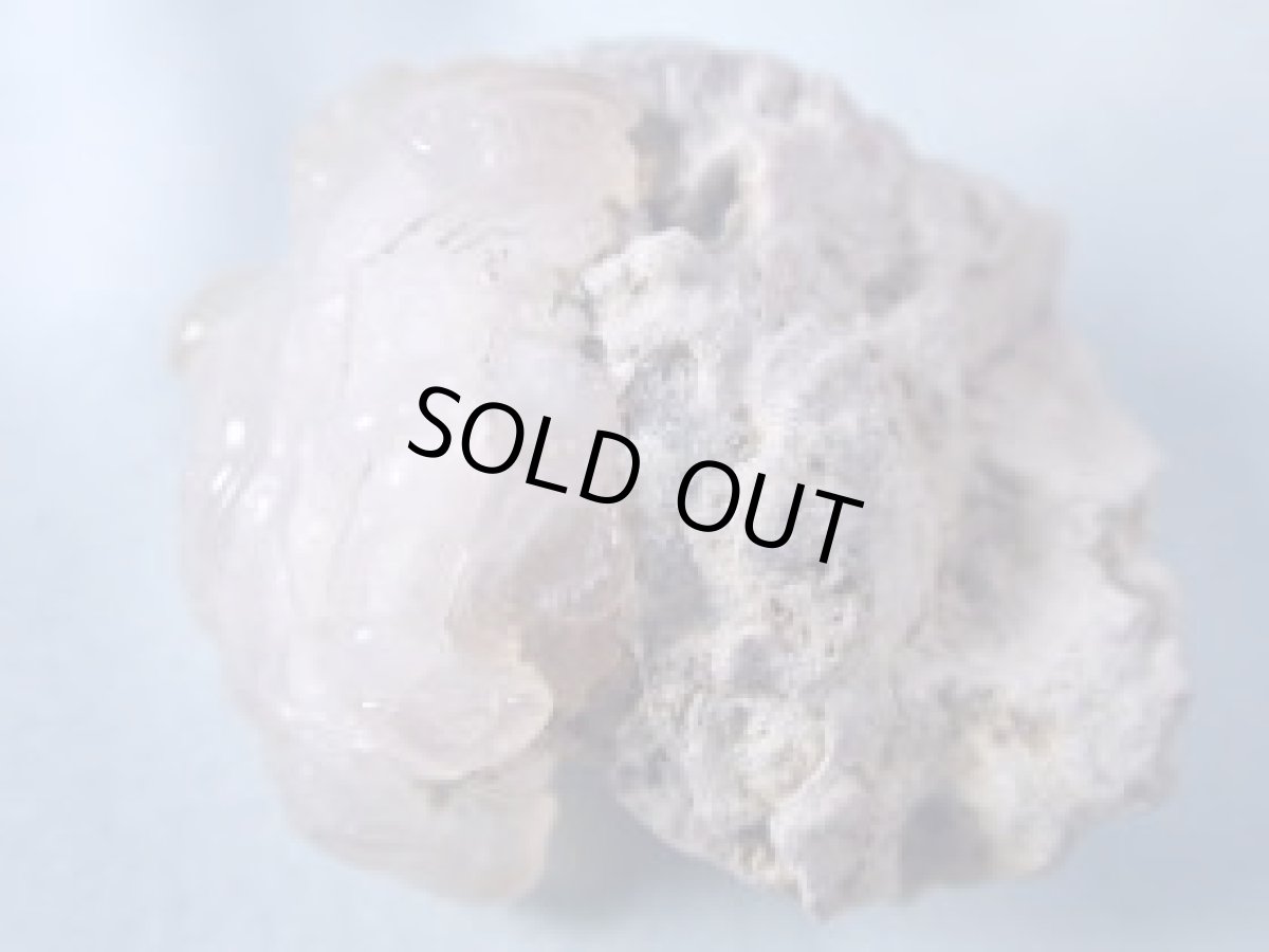 画像2: メキシコ産カルセドニーＡ (2)