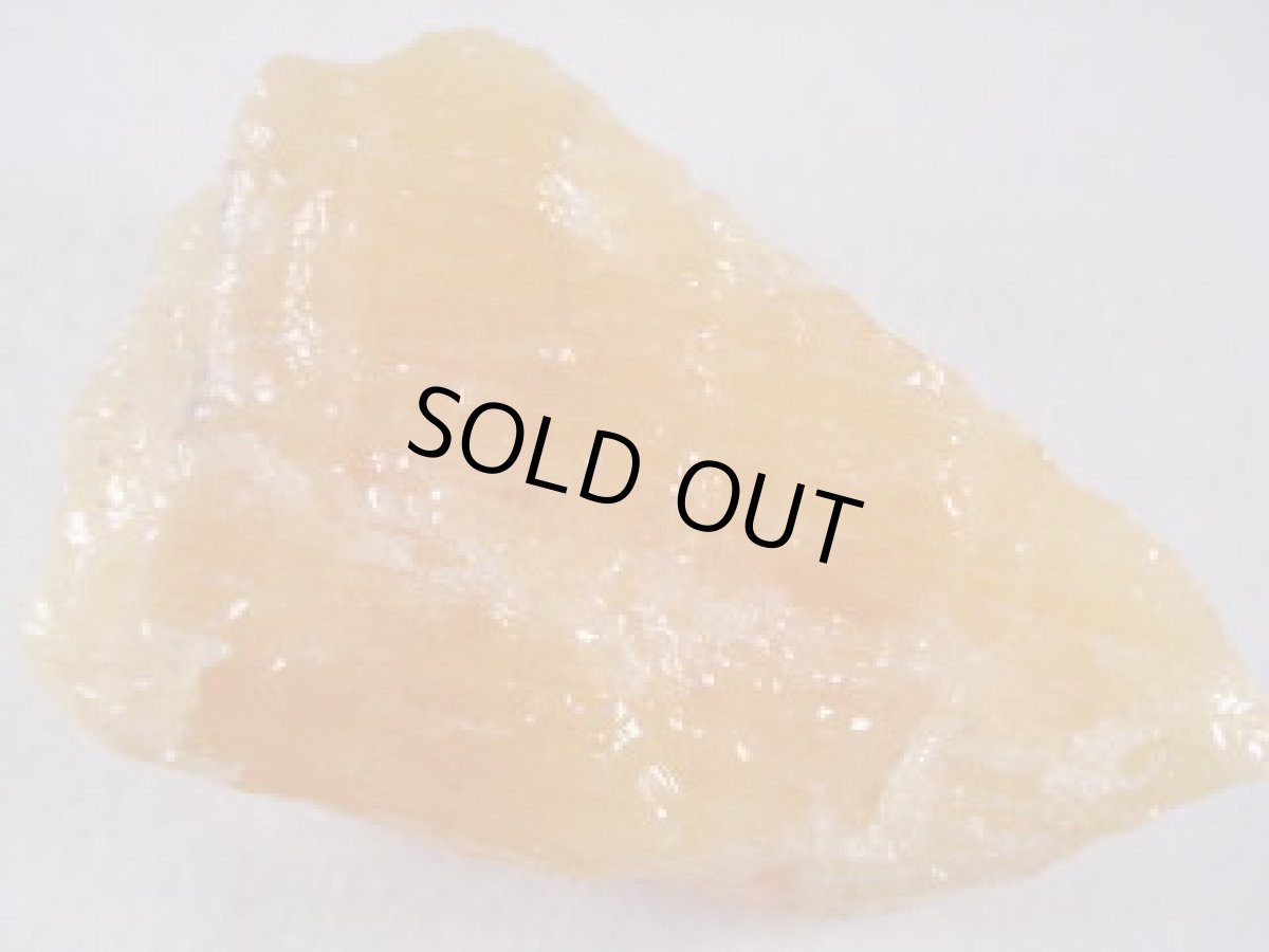 画像2: オレンジカルサイトE (2)