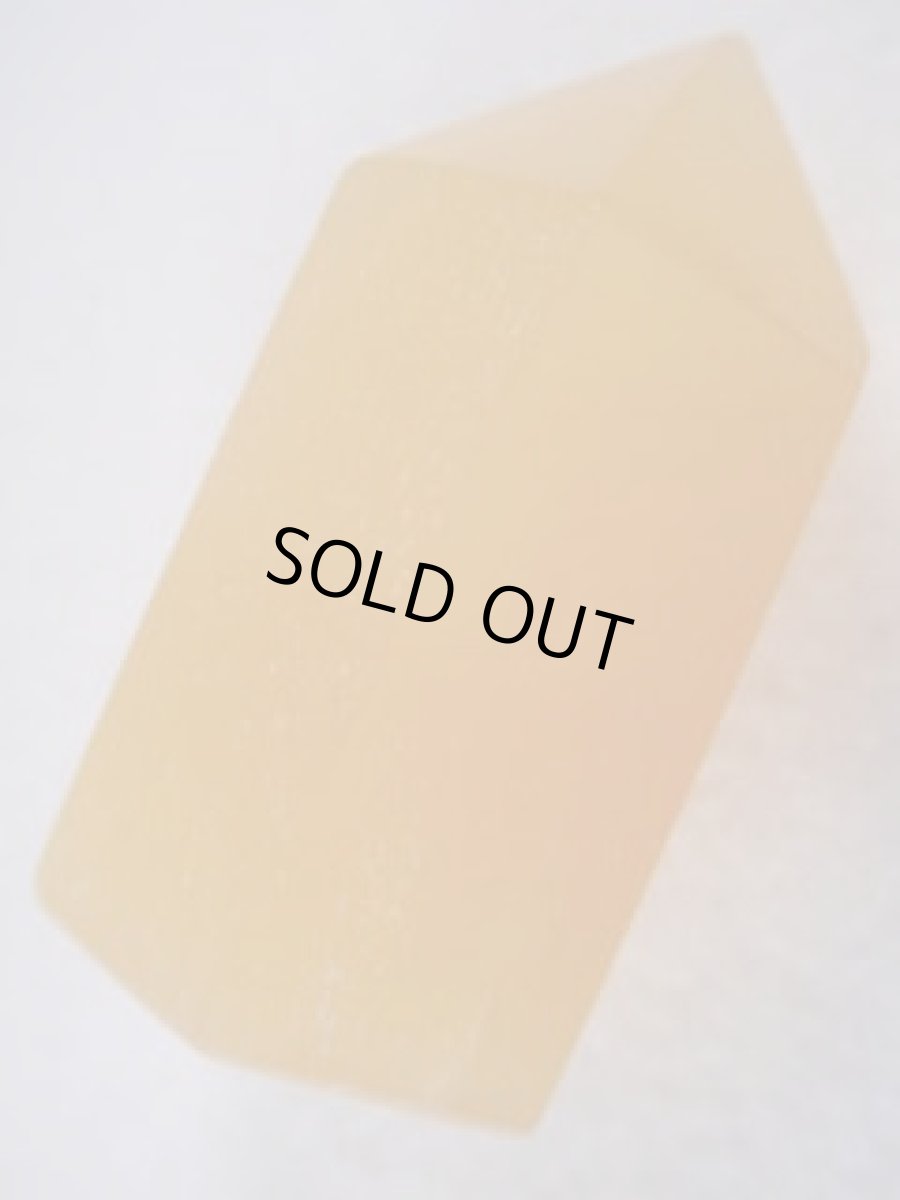 画像2: オレンジカルサイトポイントＣ (2)