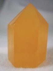 画像1: オレンジカルサイトポイントＡ (1)
