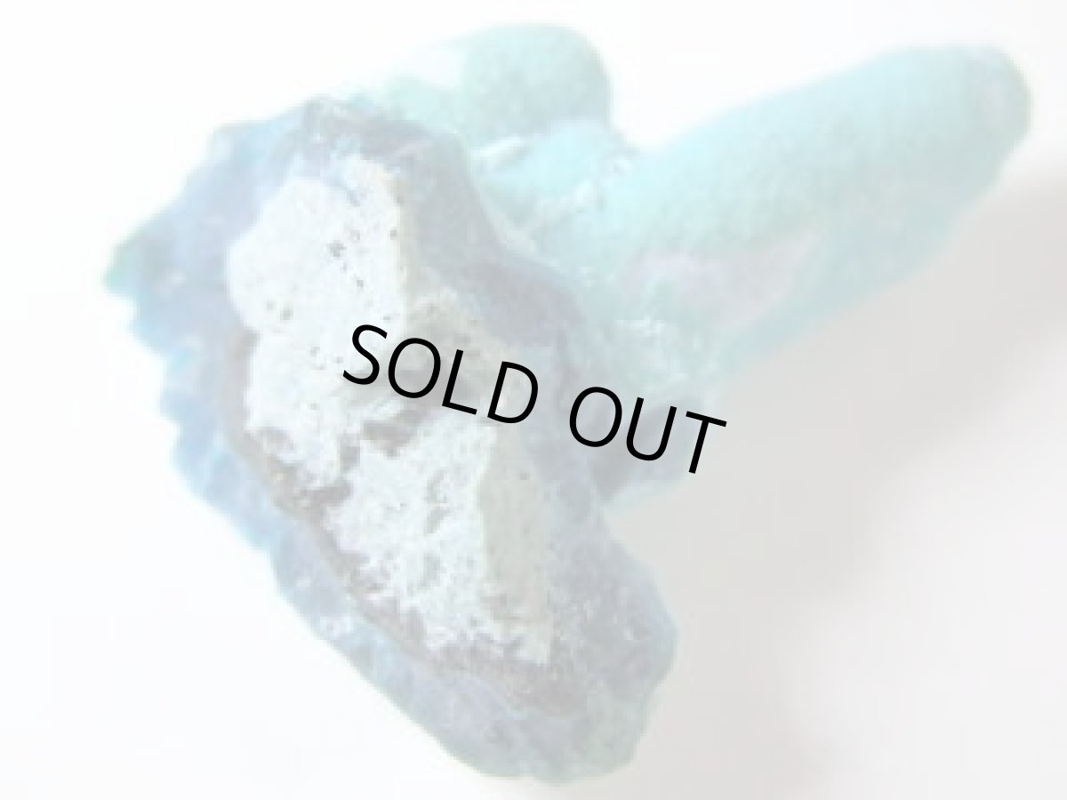 画像5: レイマインクリソコラF (5)