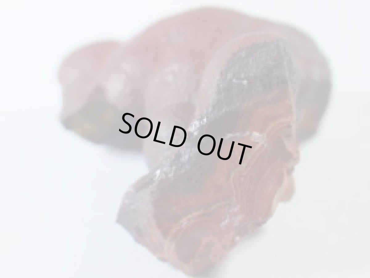 画像2: 木錫A (2)