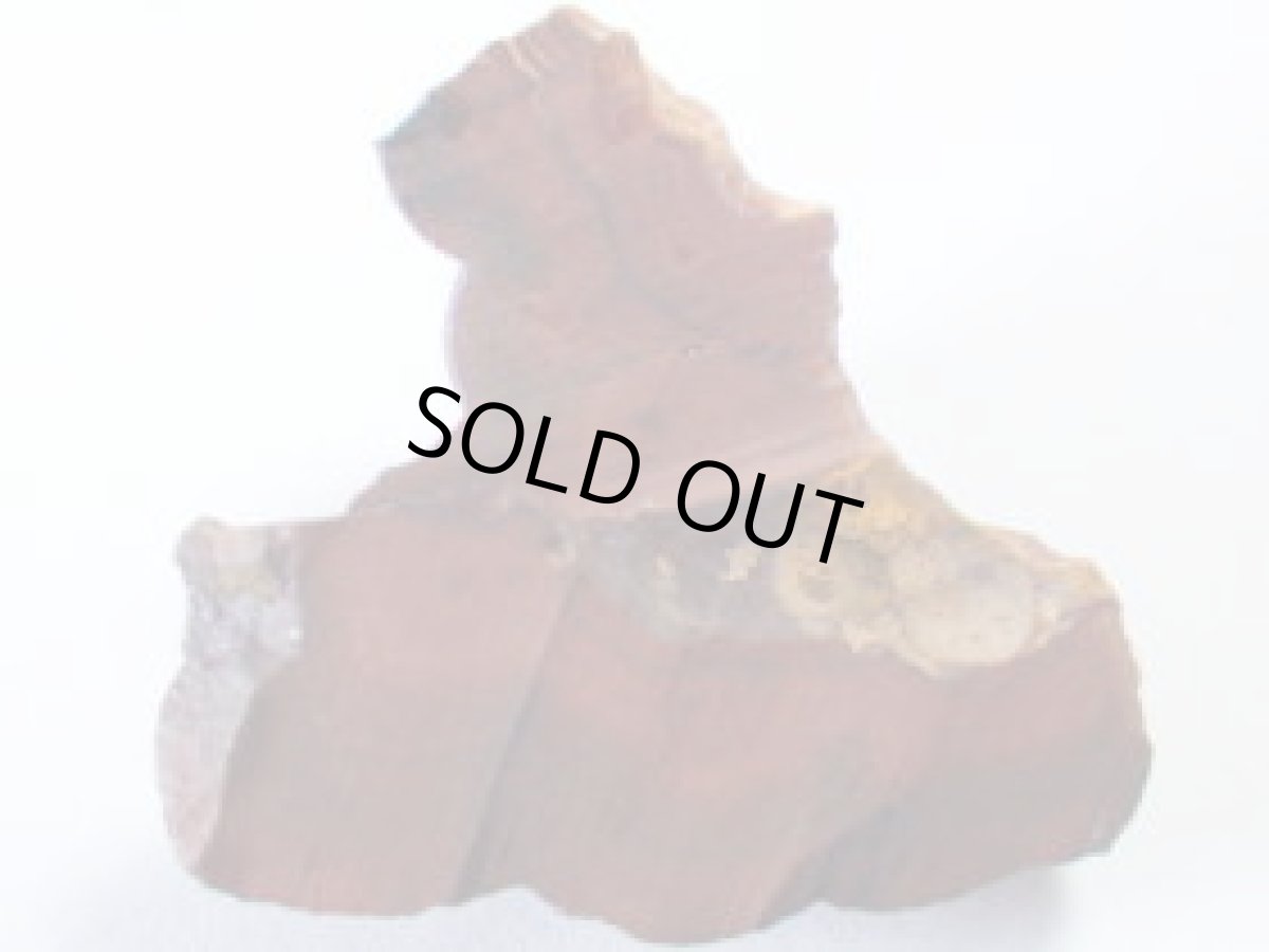 画像3: 木錫A (3)