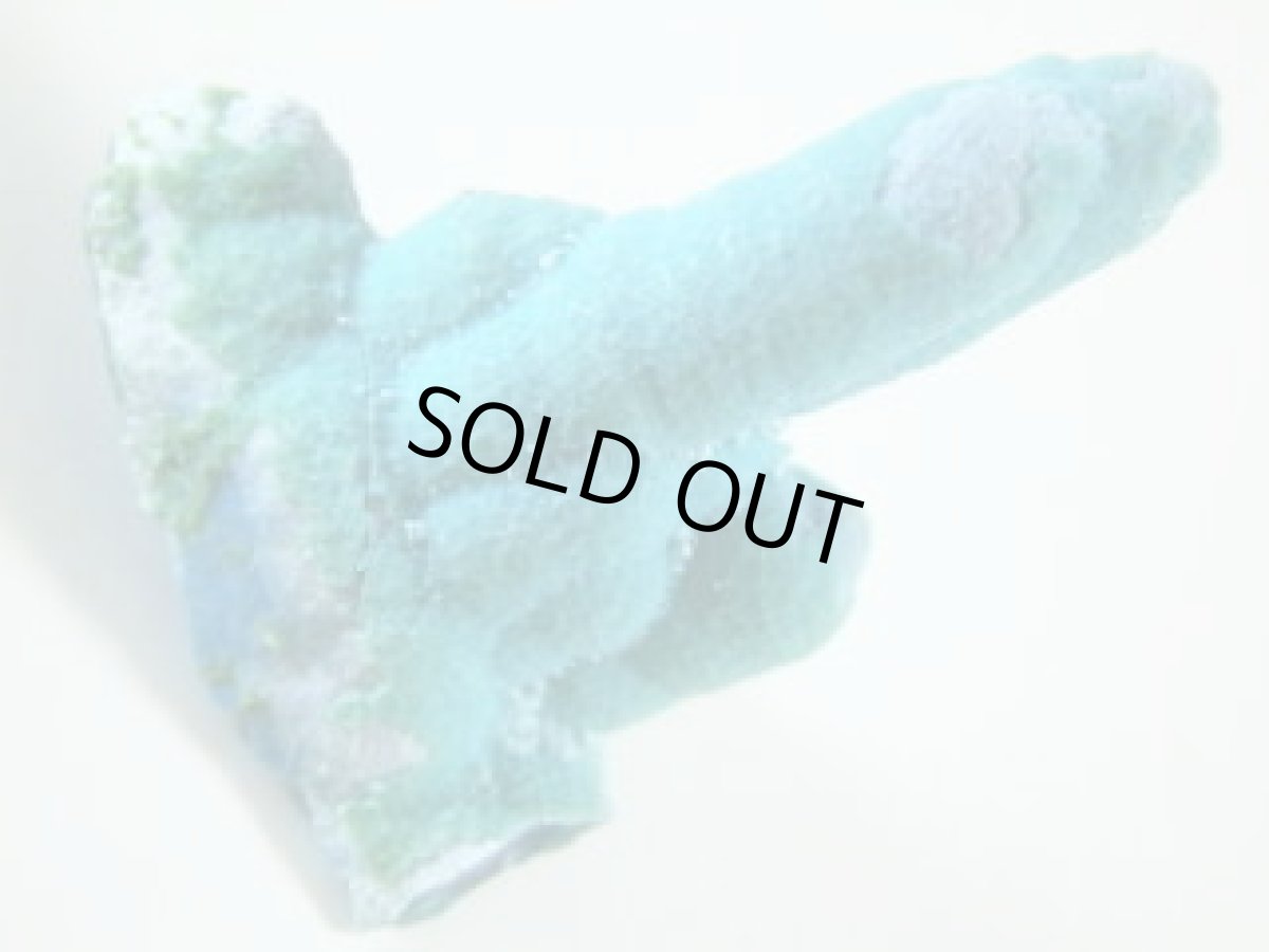 画像1: レイマインクリソコラF (1)