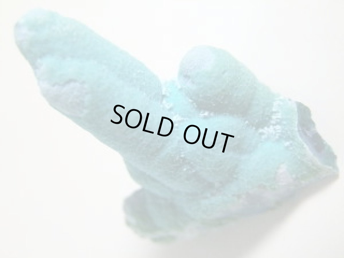 画像4: レイマインクリソコラF (4)