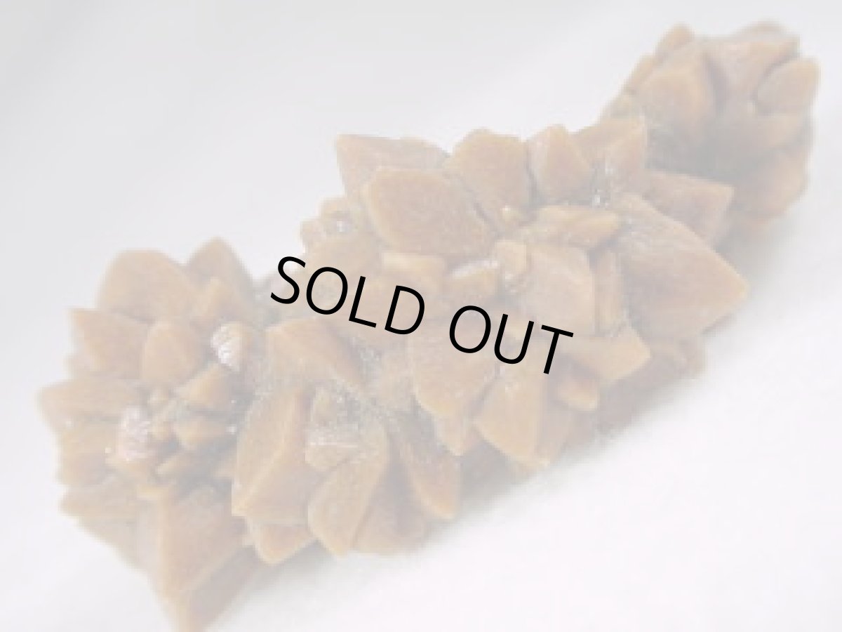 画像2: グレンドナイトＨ (2)