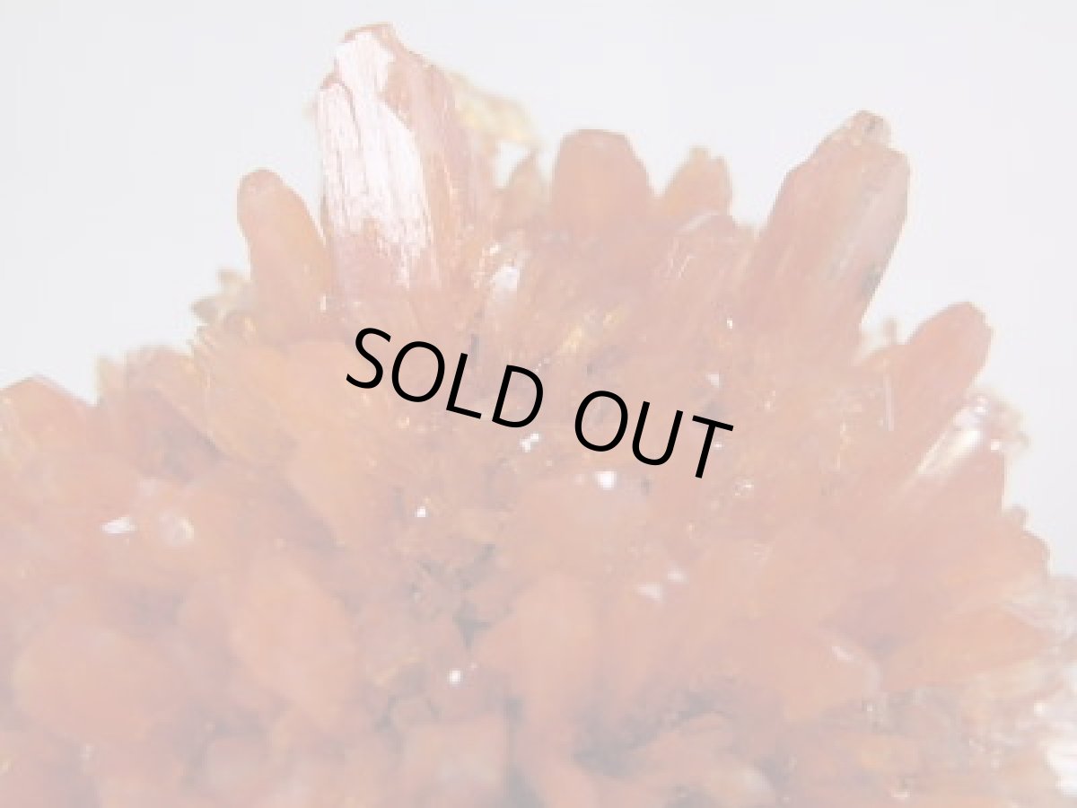 画像4: クリーダイト大Ｂ (4)