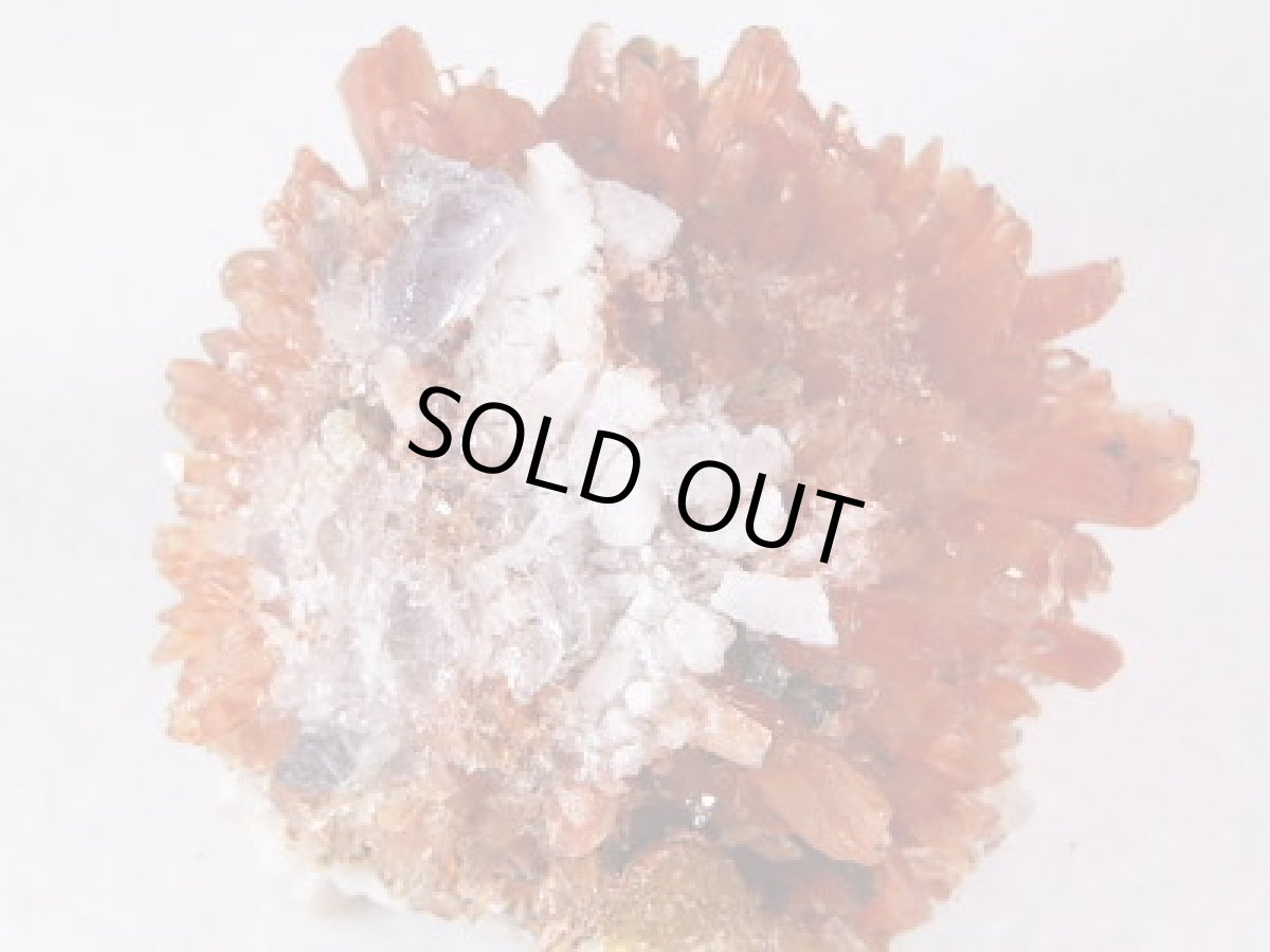 画像5: クリーダイト大Ｂ (5)