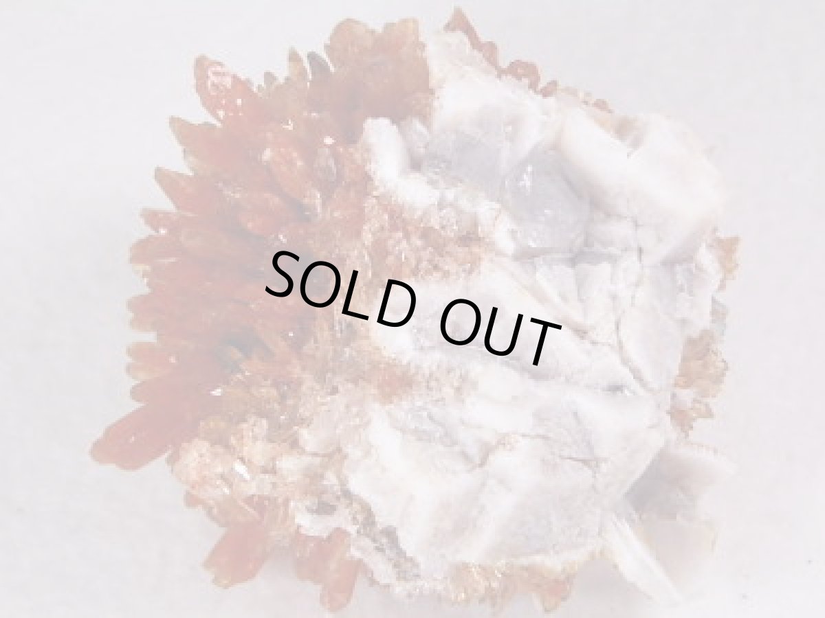 画像3: クリーダイト大Ｂ (3)