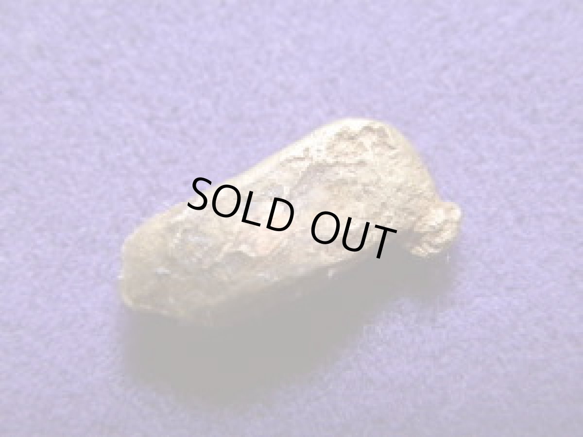 画像2: カリフォルニア産ゴールドナゲットＯ (2)