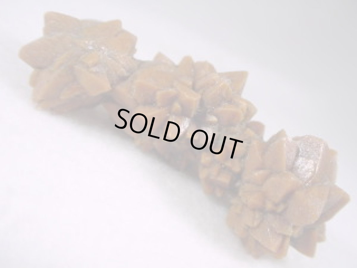 画像3: グレンドナイトＨ (3)