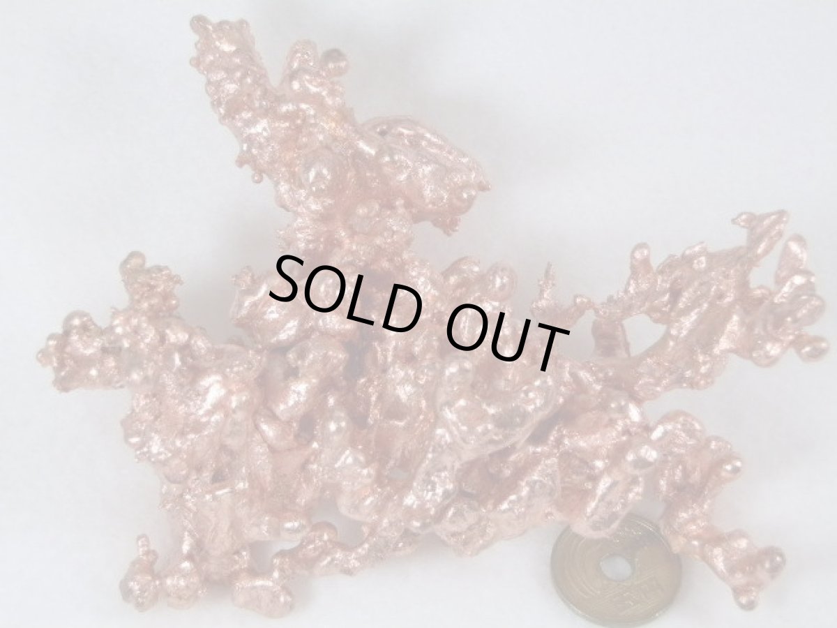 画像2: ミシガンコッパー大B (2)