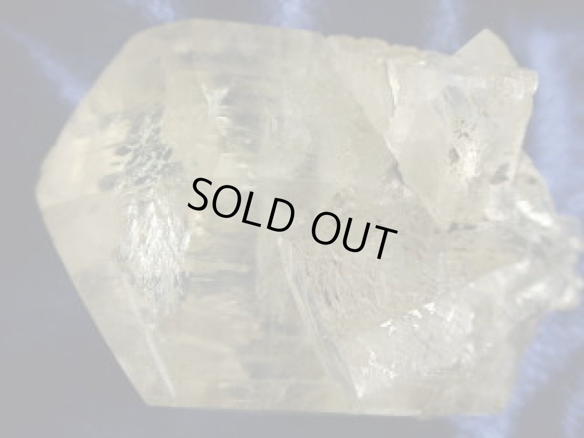 画像1: カナダ産ジプサムＣ (1)