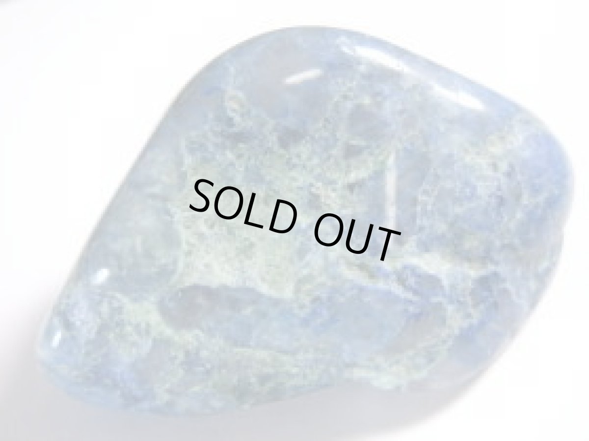 画像2: シャッタカイトタンブルＦ (2)