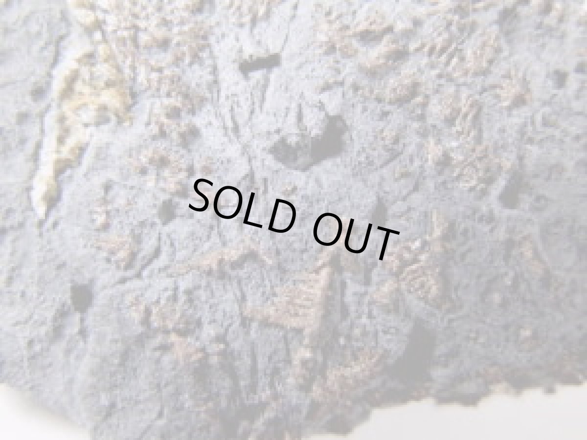 画像2: ドイツ産母岩付自然銀Ｂ (2)