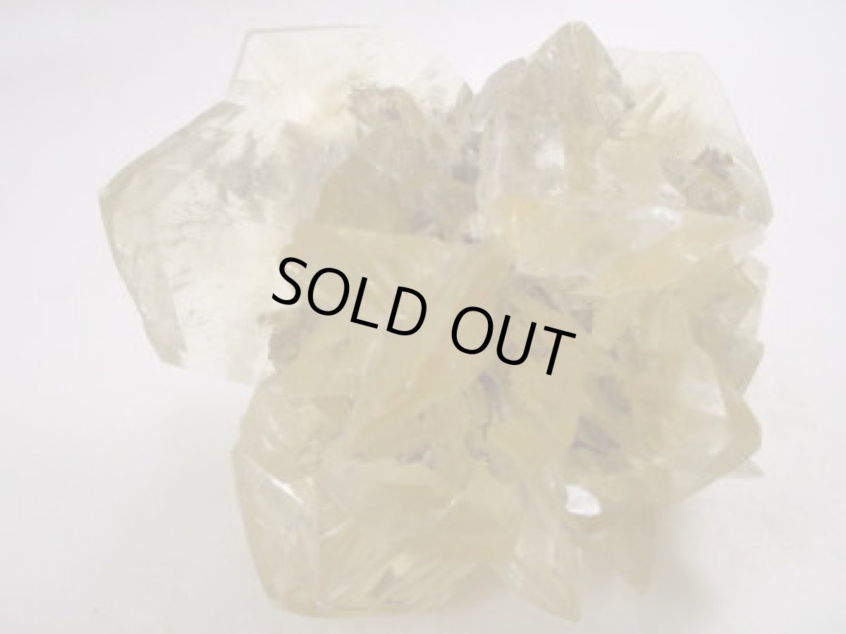 画像4: カナダ産放射状ジプサムB (4)