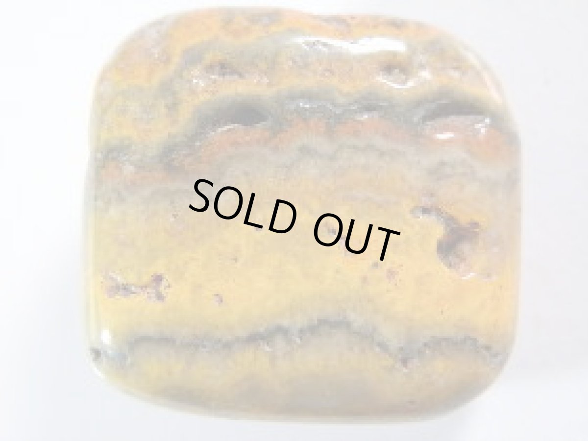 画像2: バンブルビージャスパーＣ (2)