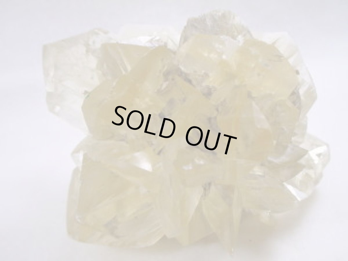 画像2: カナダ産放射状ジプサムB (2)