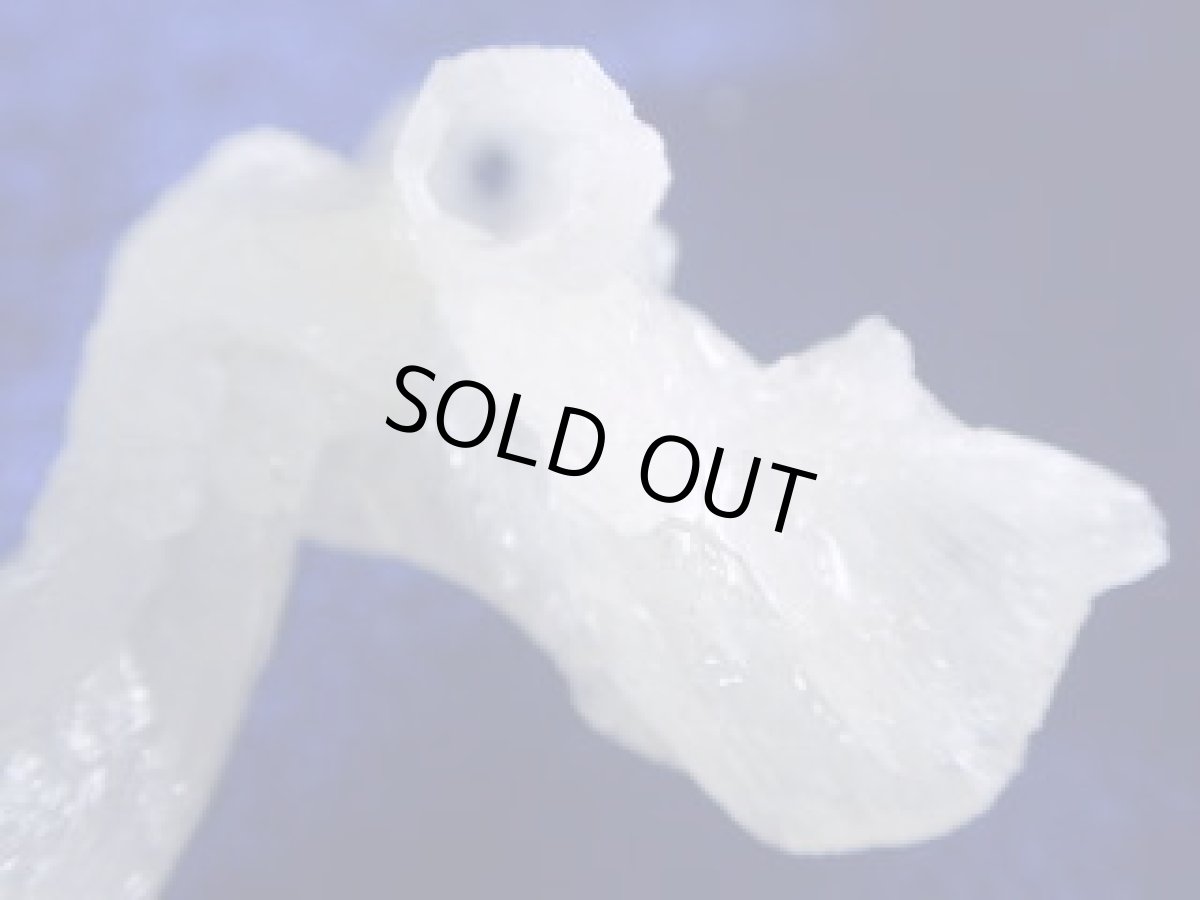 画像2: 鍾乳石Ｃ (2)