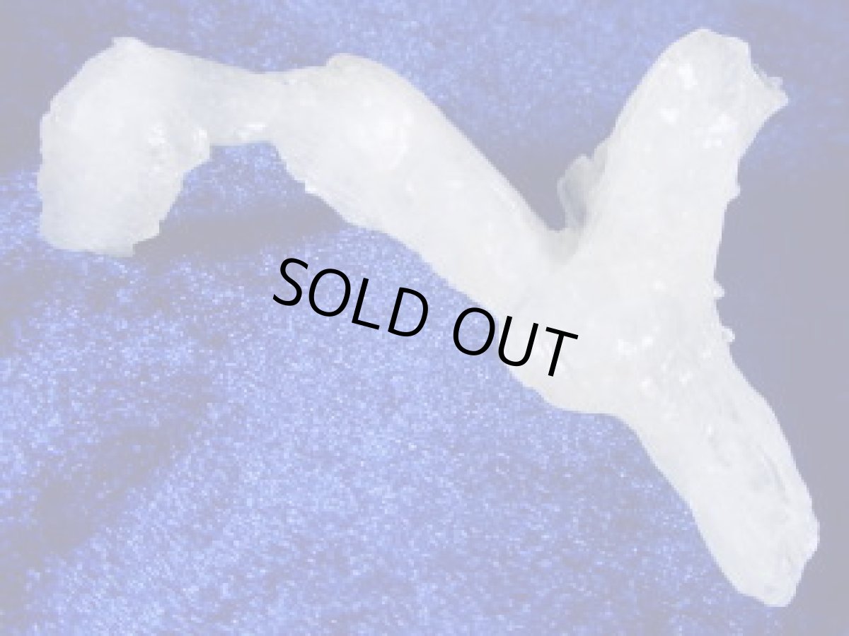 画像1: 鍾乳石Ｃ (1)