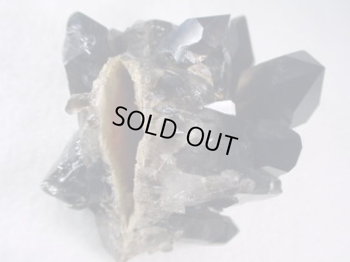 画像3: 放射線処理アーカンソー産茶水晶Ａ (3)