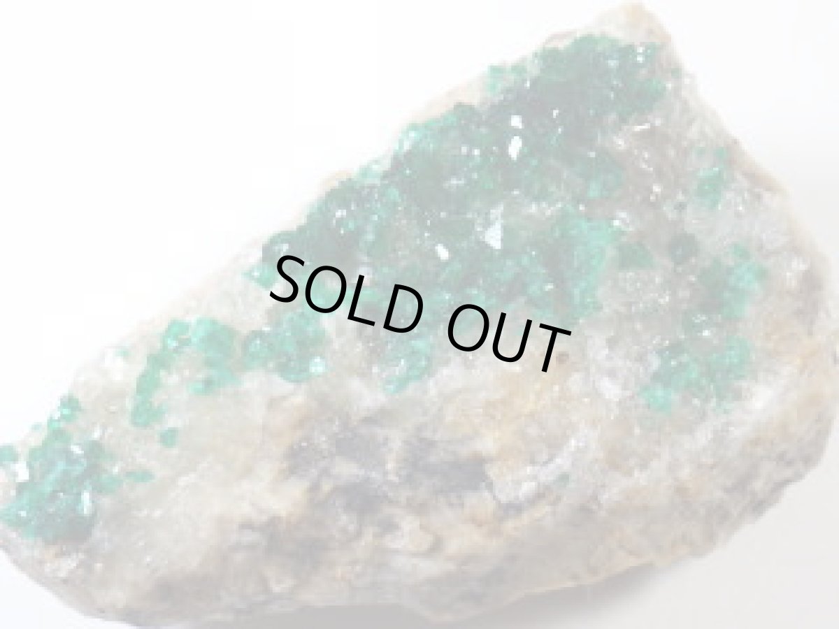 画像2: カザフスタン産ダイオプテーズＣ (2)