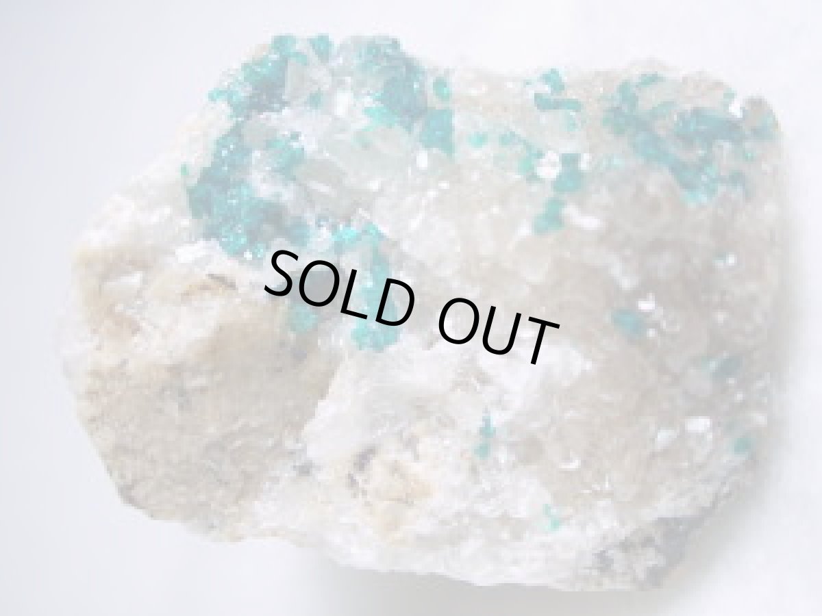 画像3: カザフスタン産ダイオプテーズＦ (3)