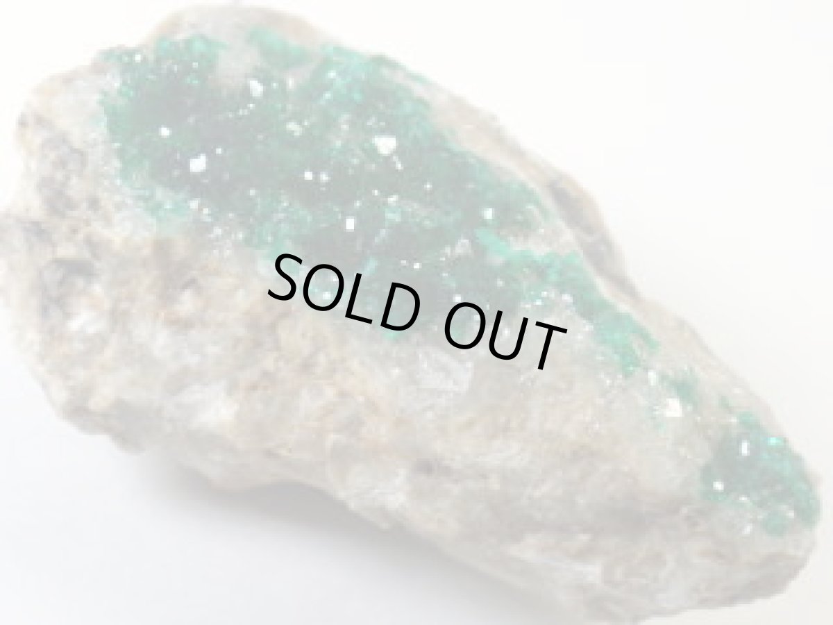 画像3: カザフスタン産ダイオプテーズＣ (3)