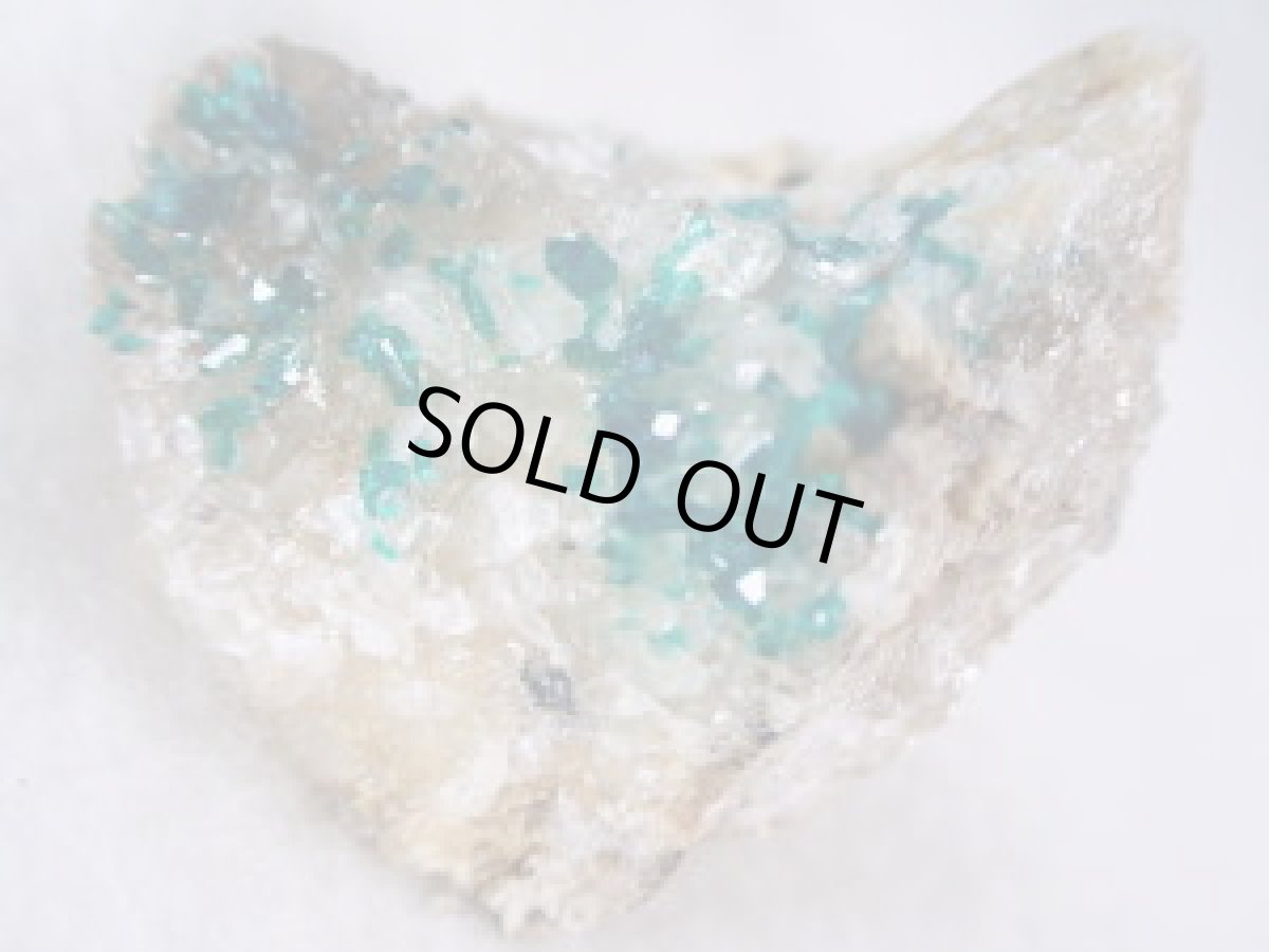 画像2: カザフスタン産ダイオプテーズＦ (2)