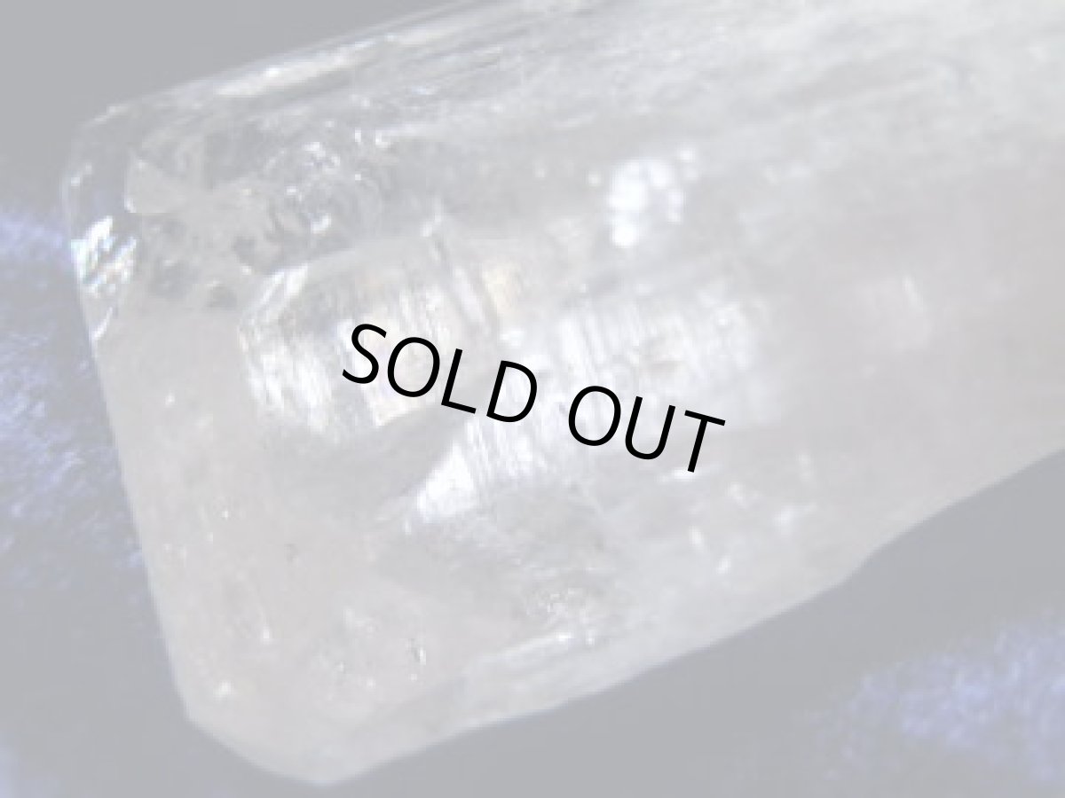 画像3: ダンビュライトE (3)