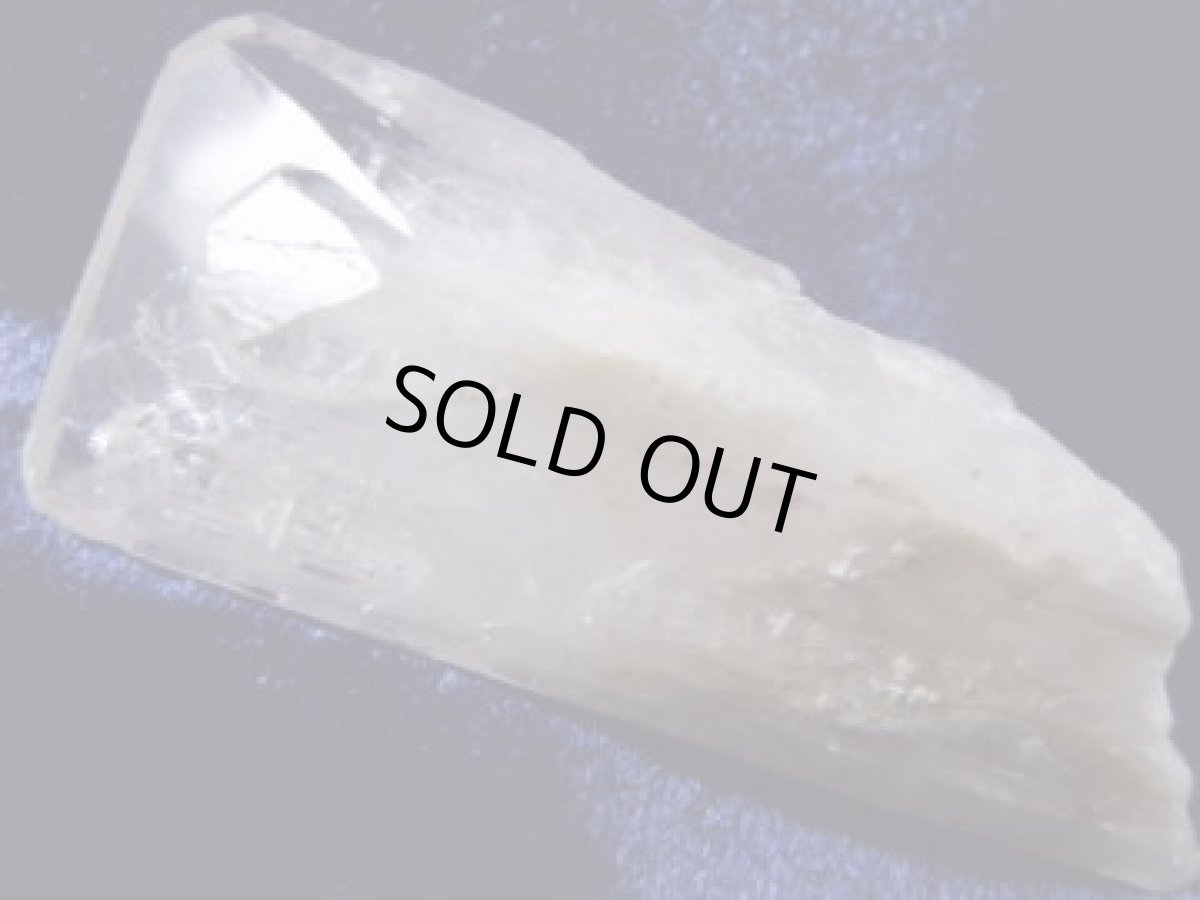 画像2: ダンビュライトE (2)