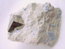 画像2: スペイン産母岩付パイライトＥ (2)