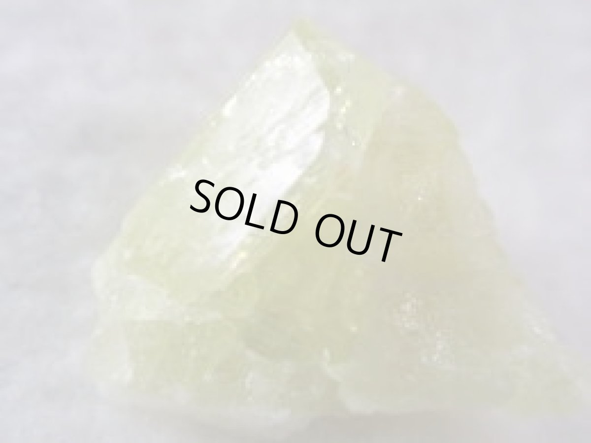 画像2: ブラジリアナイトM (2)