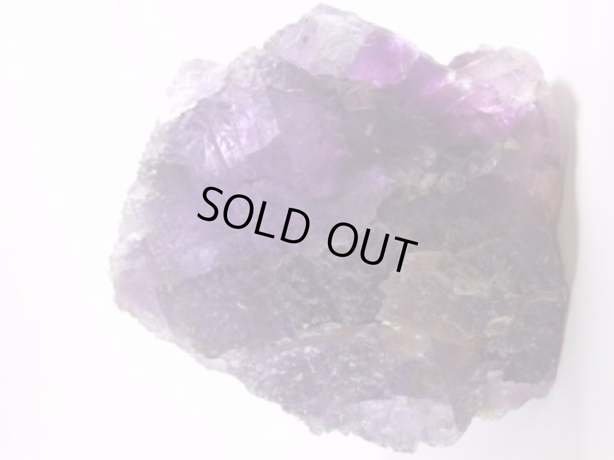 画像4: イリノイフローライト大 (4)