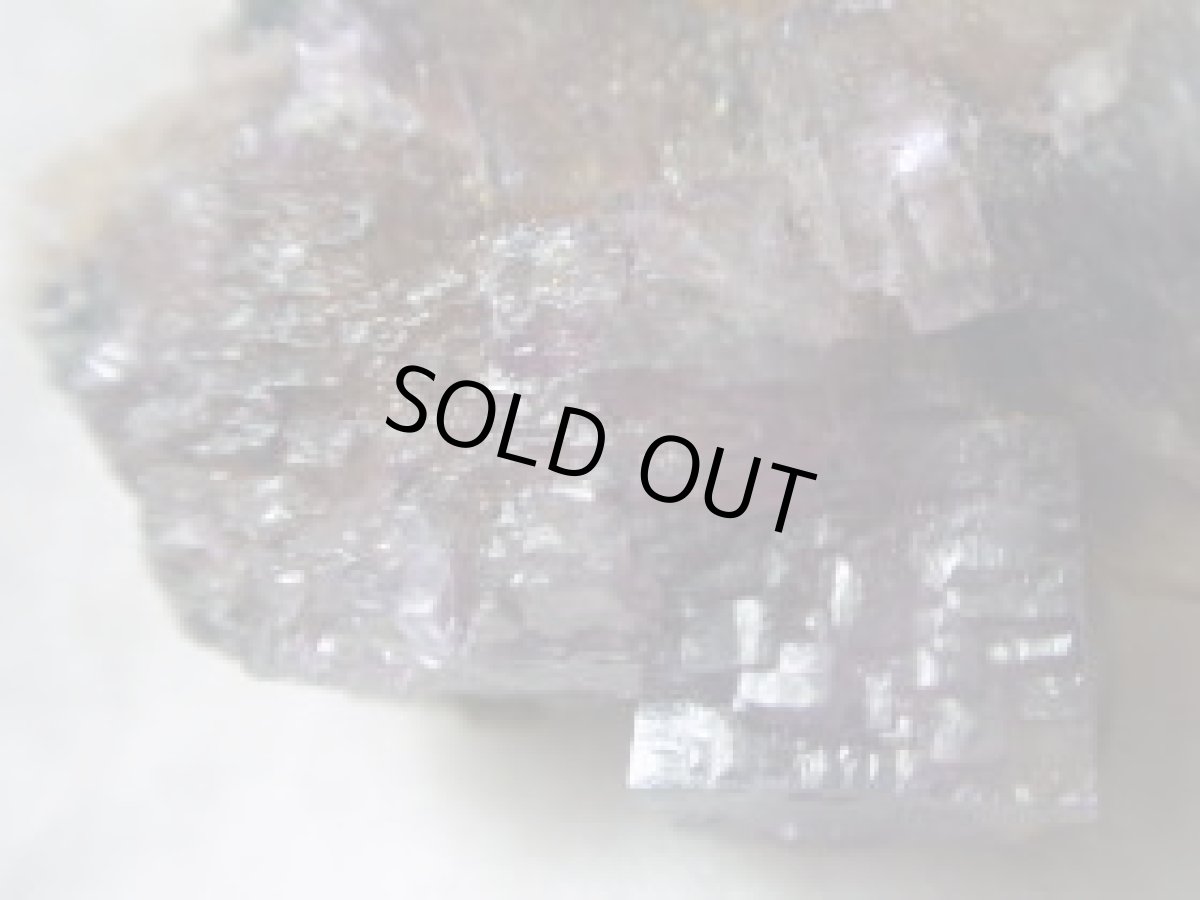 画像2: エルムウッドフローライトＡ (2)