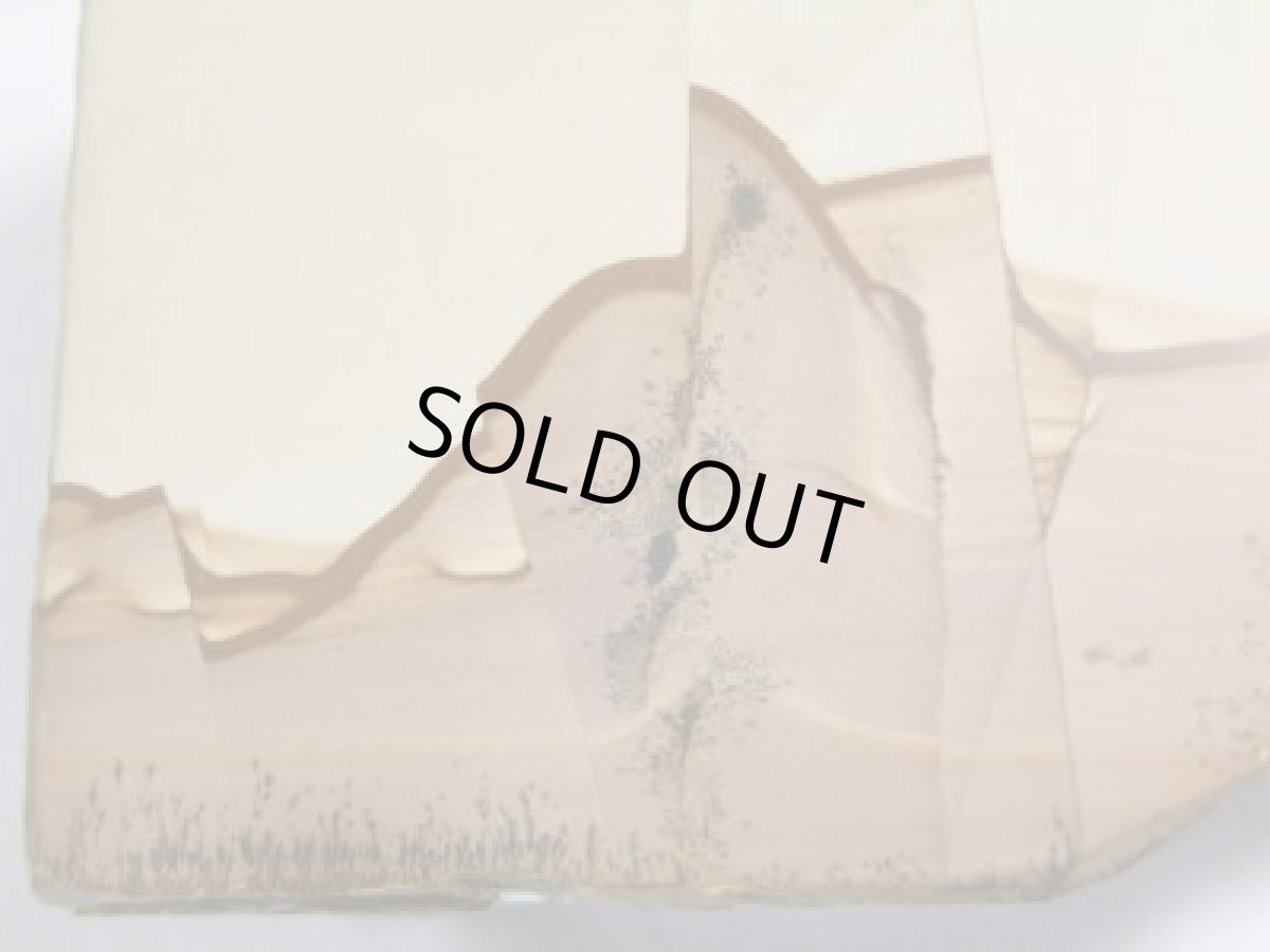 画像3: パエジナストーンE (3)