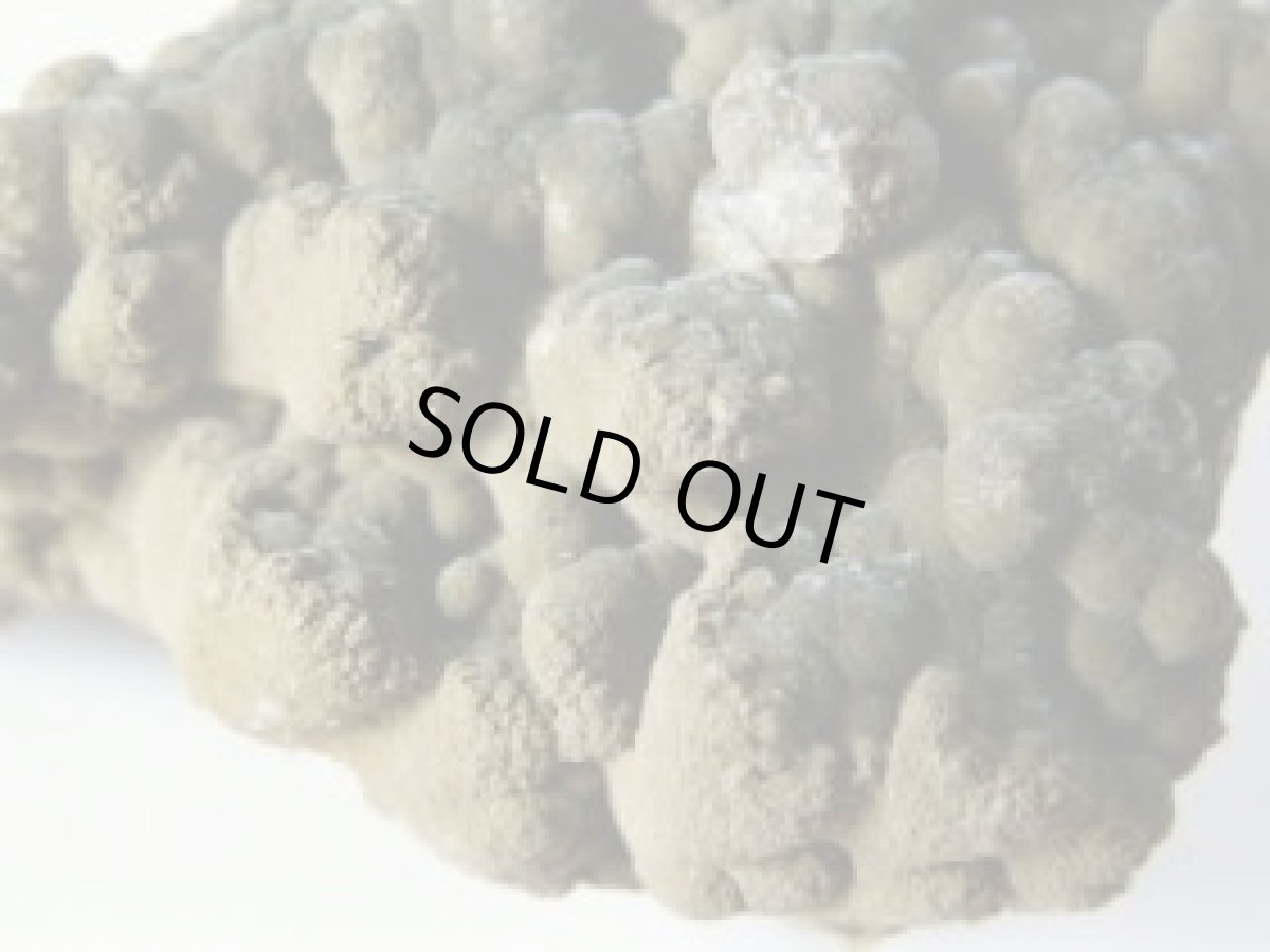 画像3: モットラマイトＢ (3)