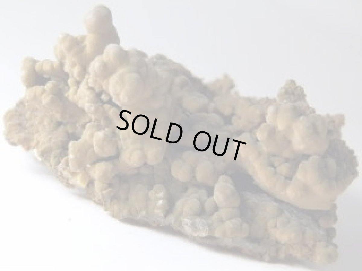 画像2: モットラマイトＤ (2)